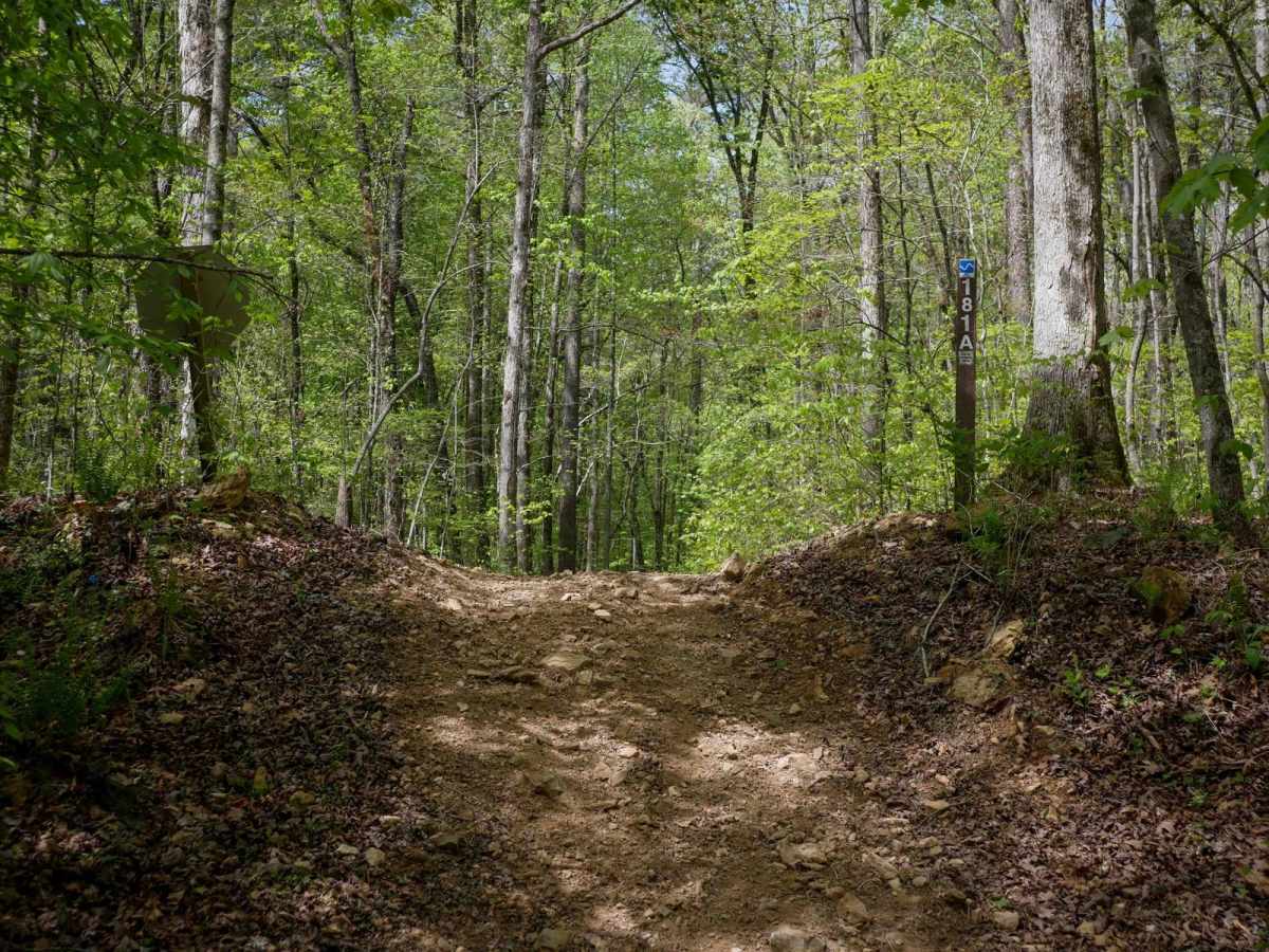 Gordon Springs Connector trail photo