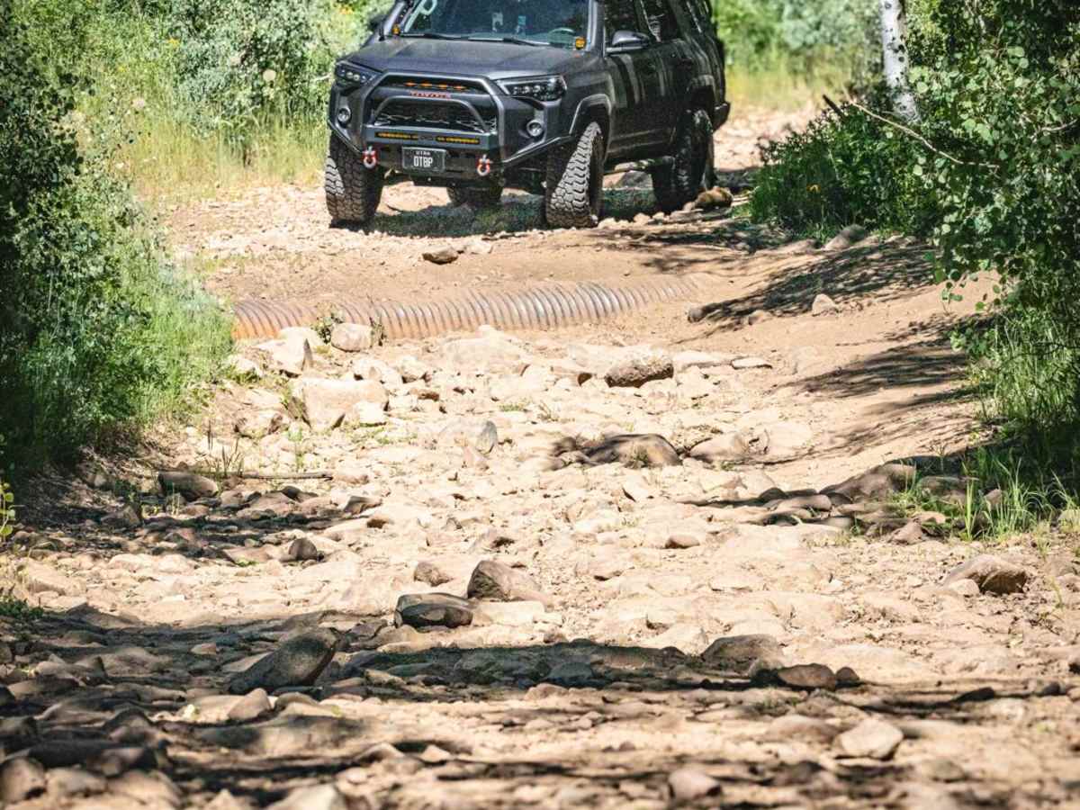Main Canyon - FS 70046 photo 2