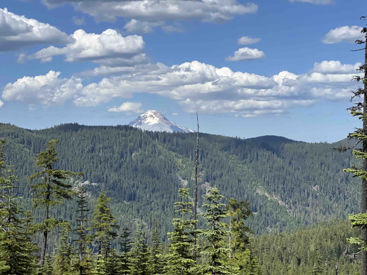 Hideaway Lake - FR 5830 photo 6