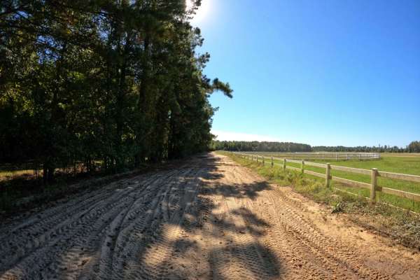 Restoration Trail
