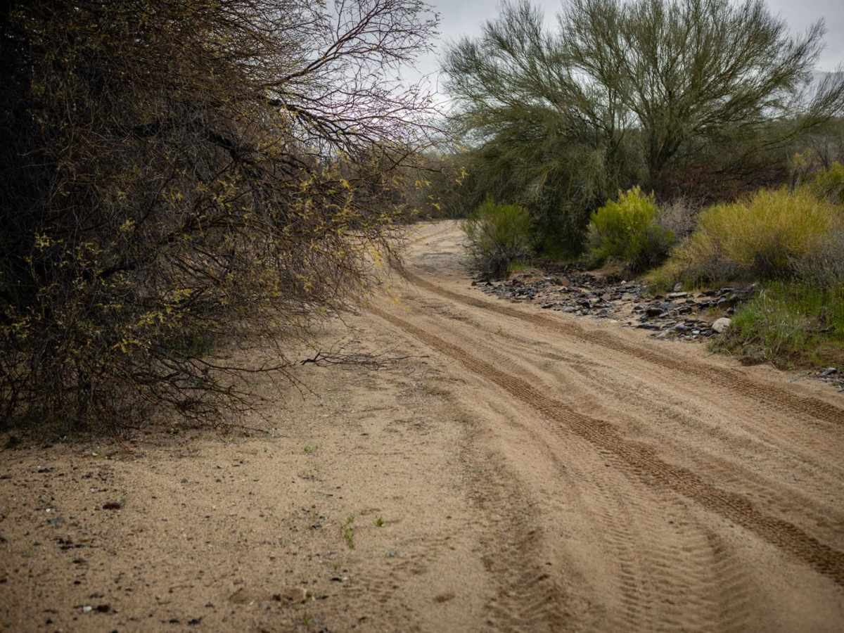 Bravo Wash trail photo
