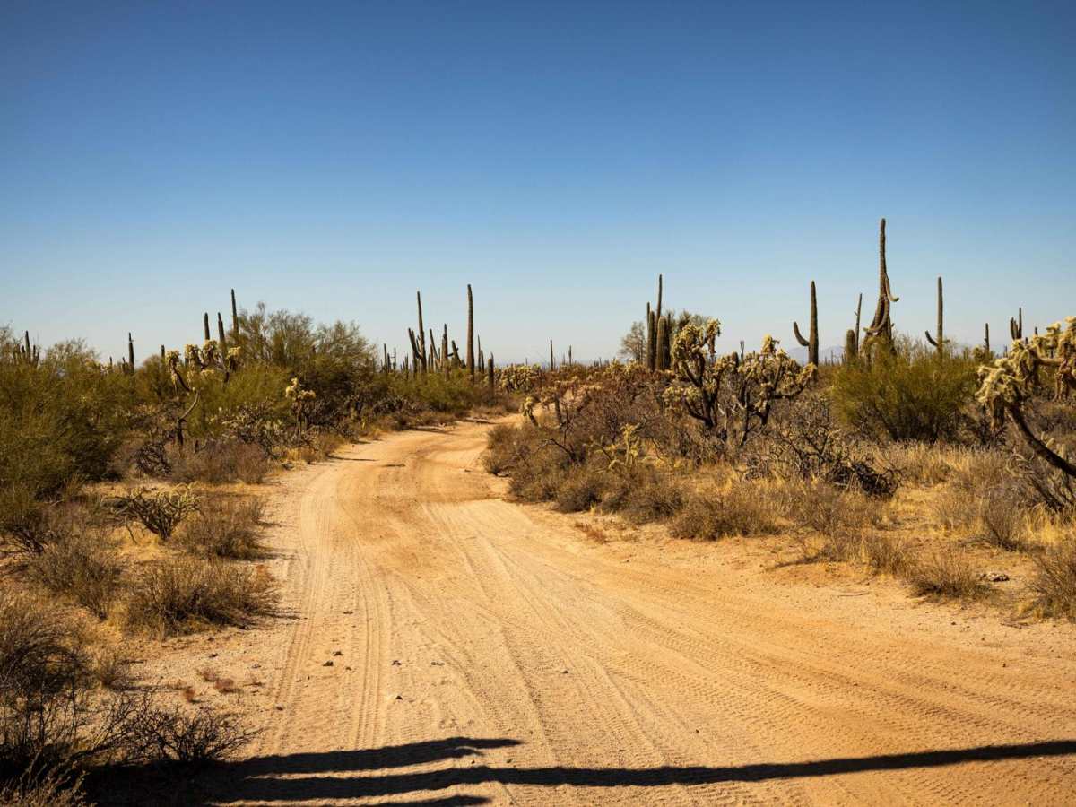 Paisano's Pathway photo 4