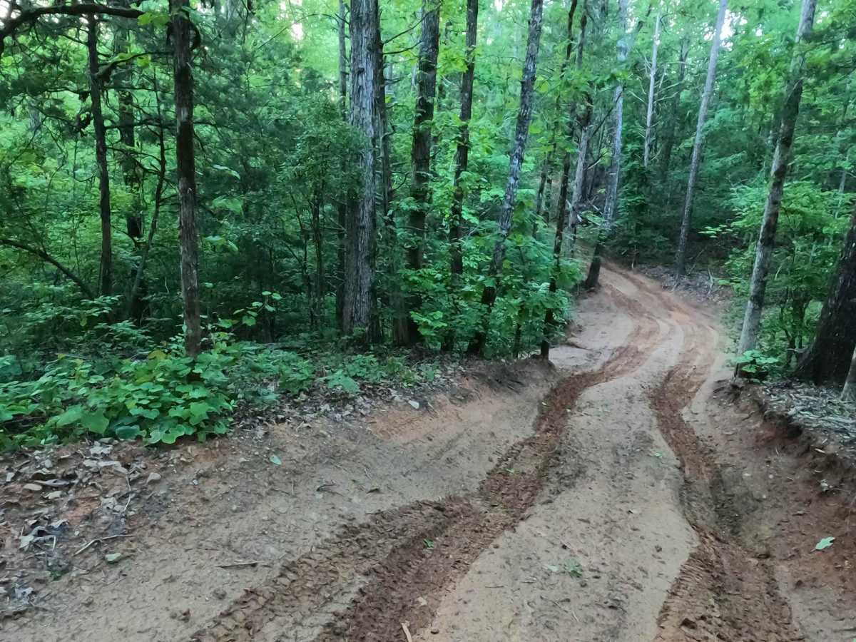 The Ridge photo 4