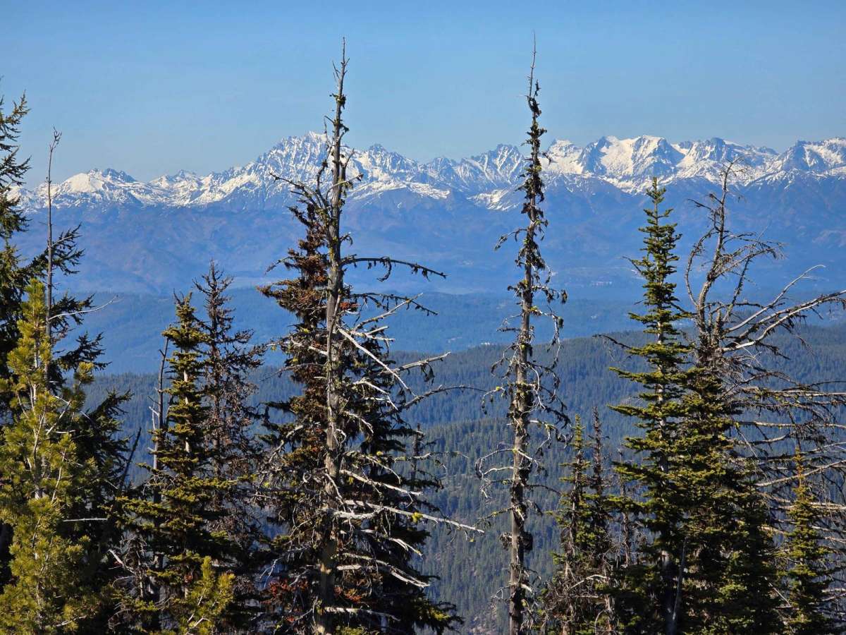 4W310 Frost Mountain trail photo