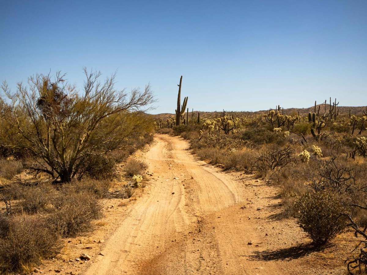 Softridge trail photo