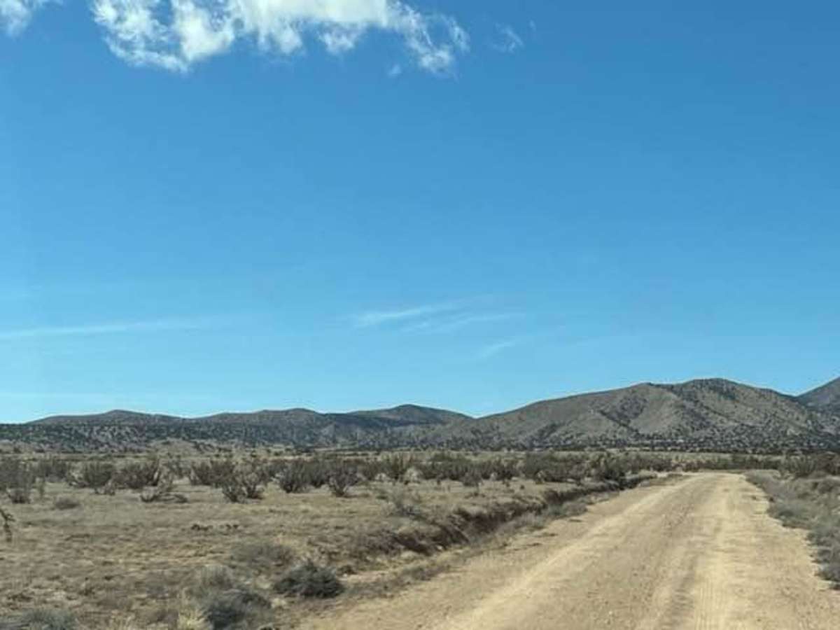 Ladron View photo 3