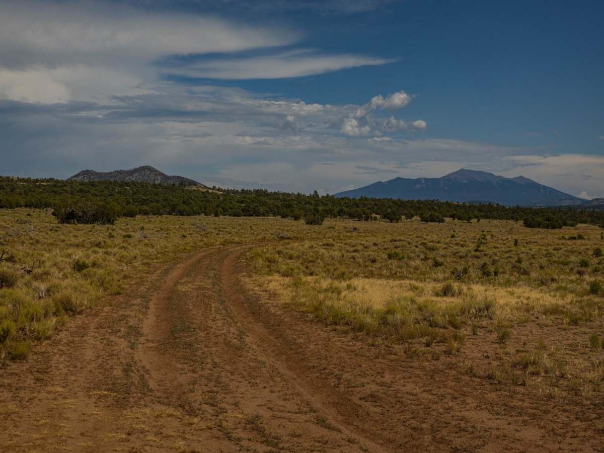 Tankers View trail photo