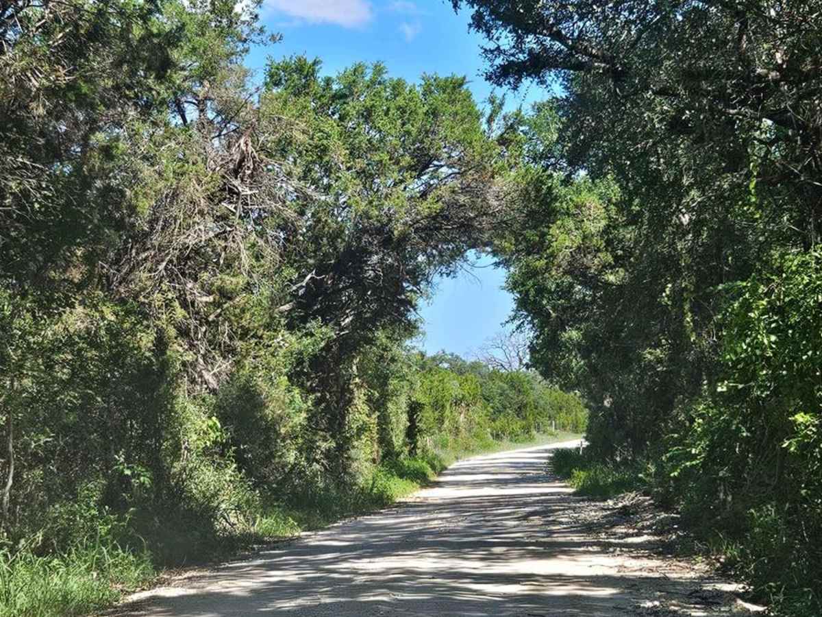 Bosque 1035 photo 3
