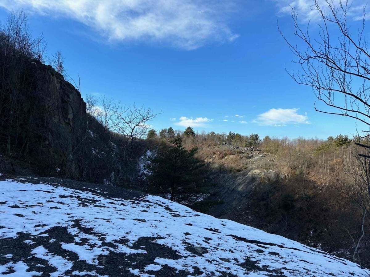 Locust Gap 35 photo 3