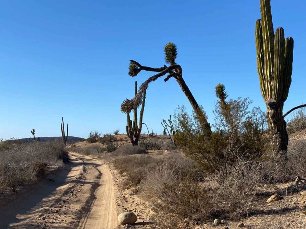 Four Corners East trail photo