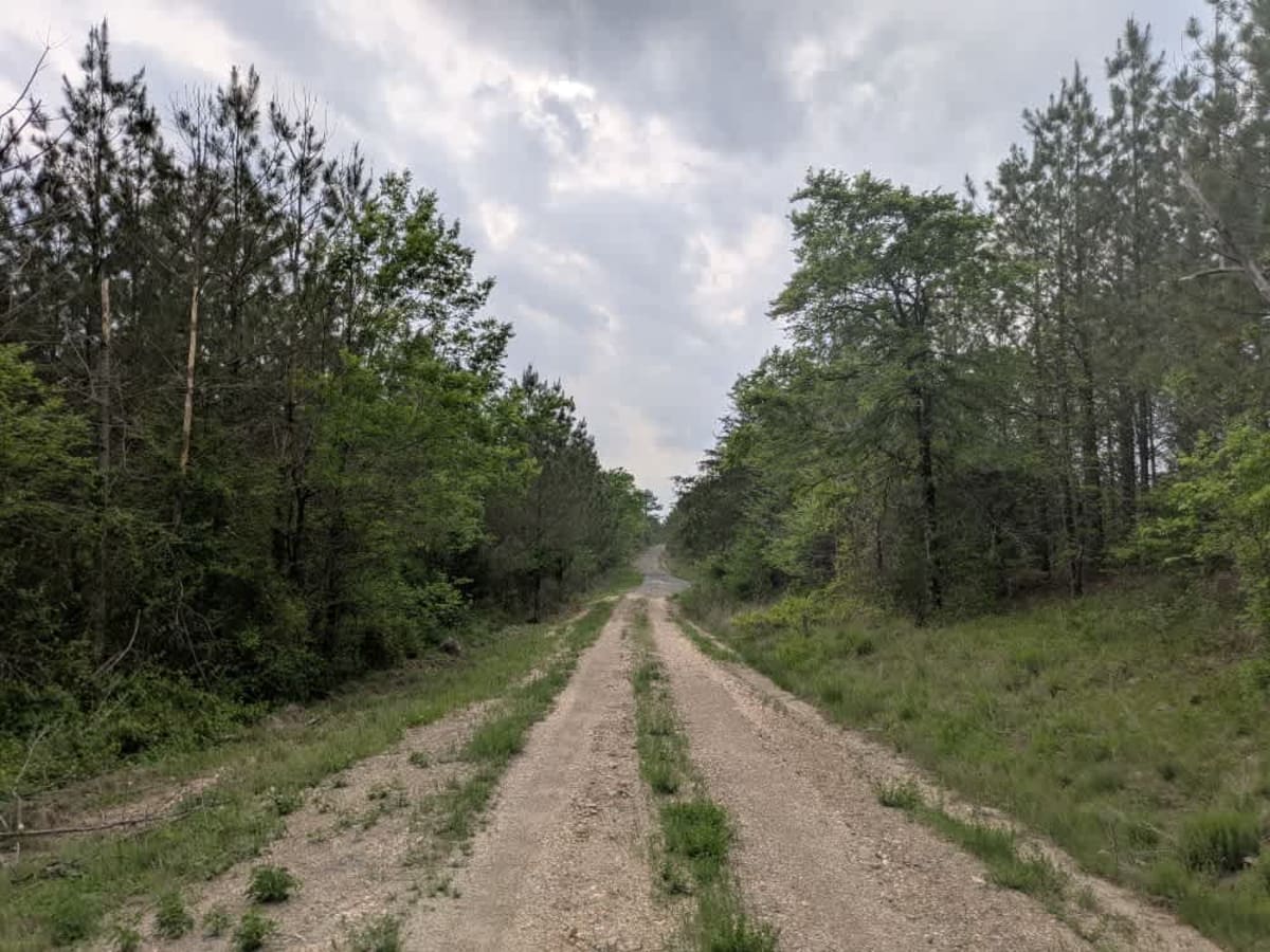 313 Road photo 4