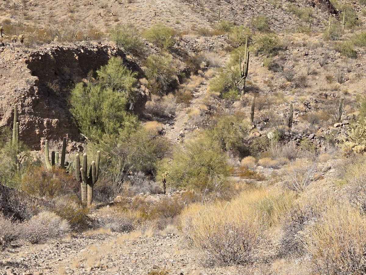 Shaky Trail photo 6