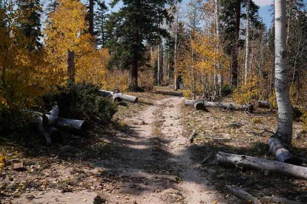 Spring Creek Spur B ATV Trail