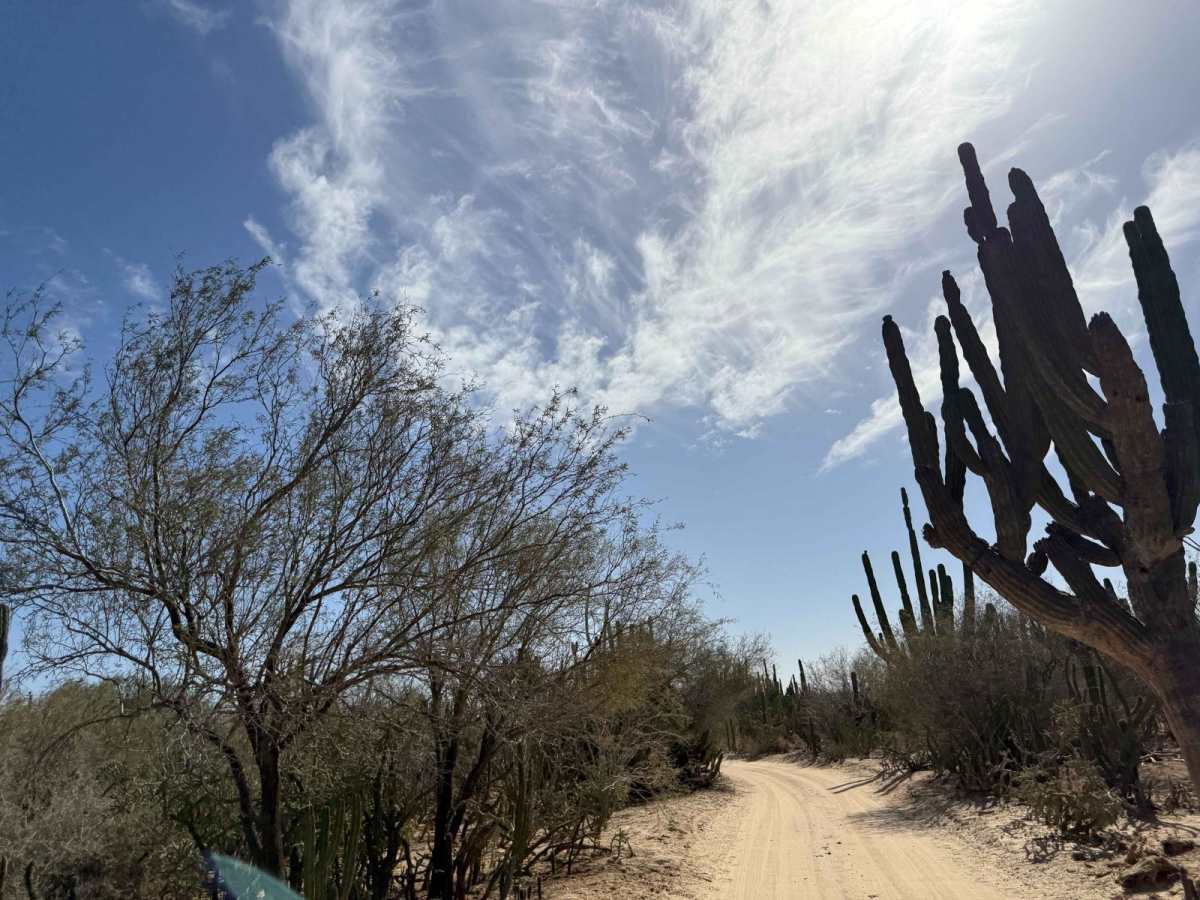 Rancho del Camino photo 6