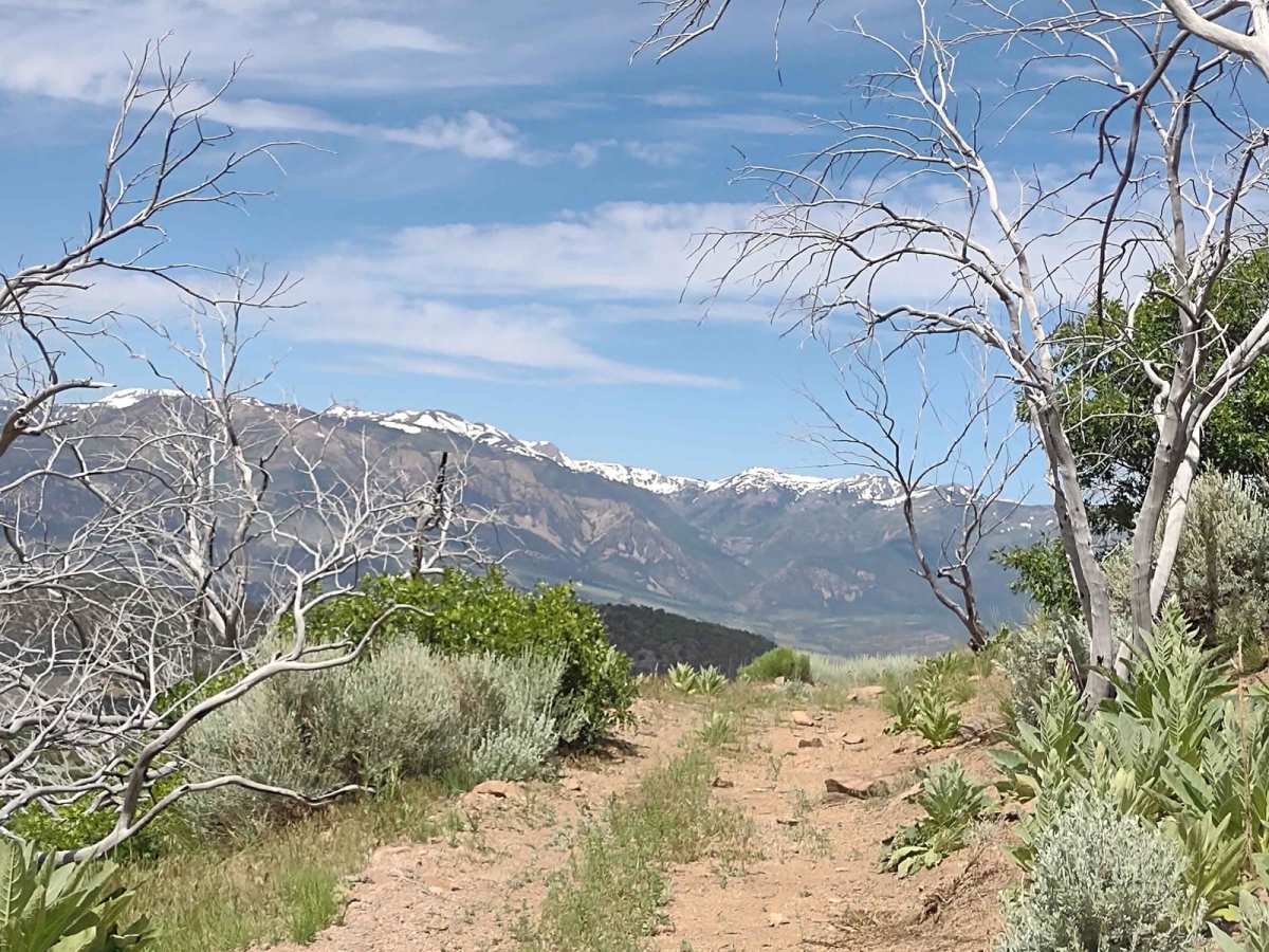 Smith Canyon Access (FS# 41190) photo 2