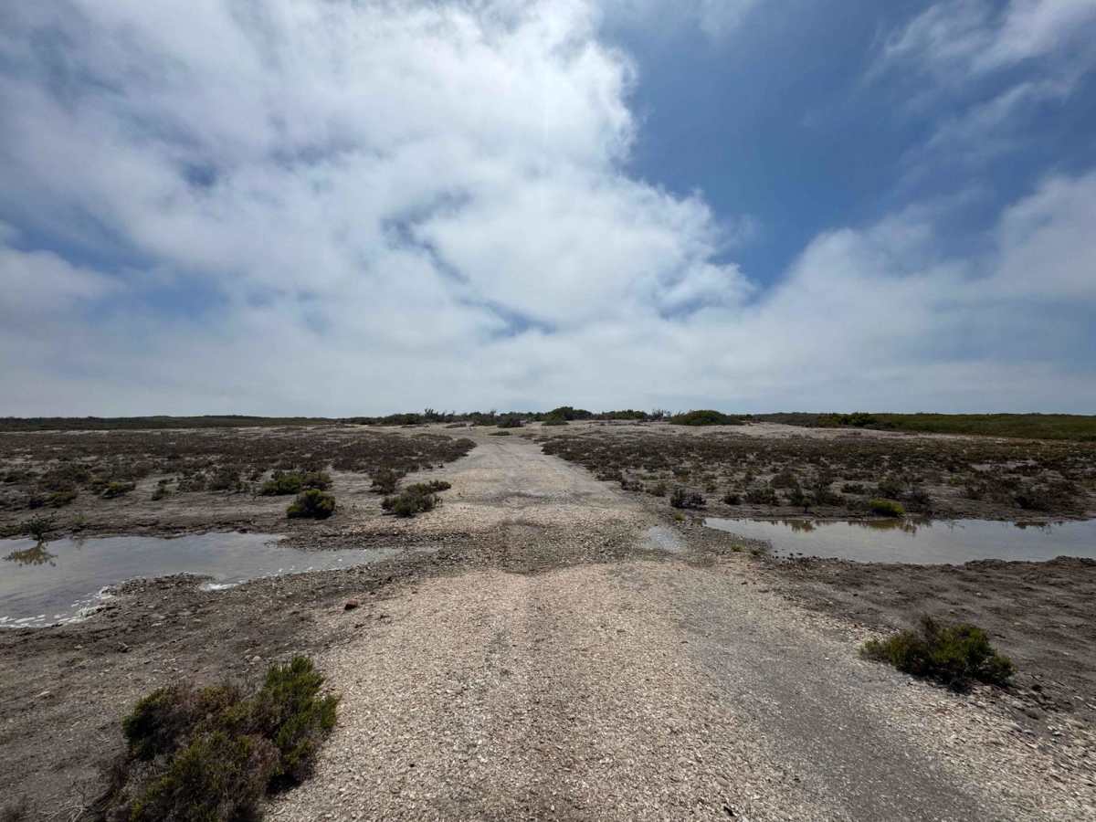 Estuary Peninsula trail photo