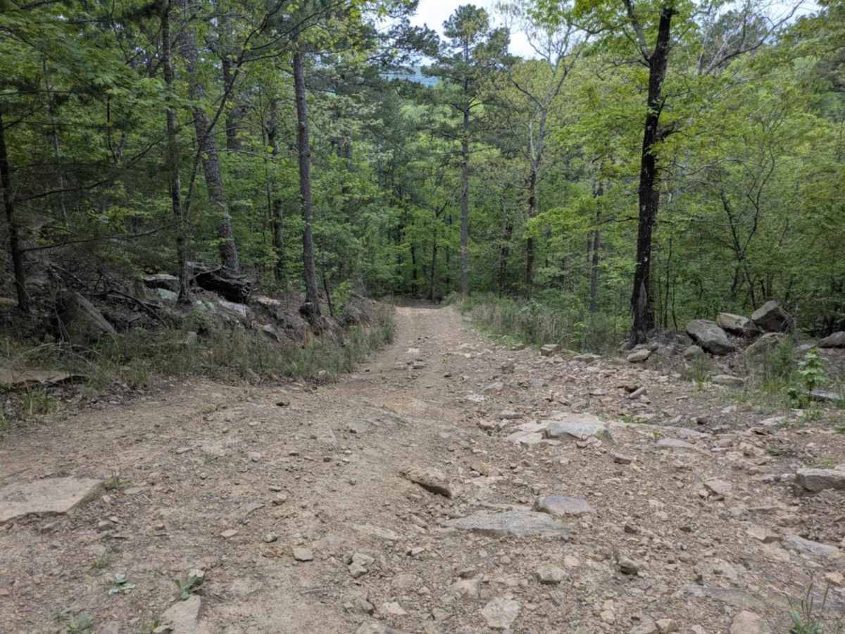 Bramlett R photo 6
