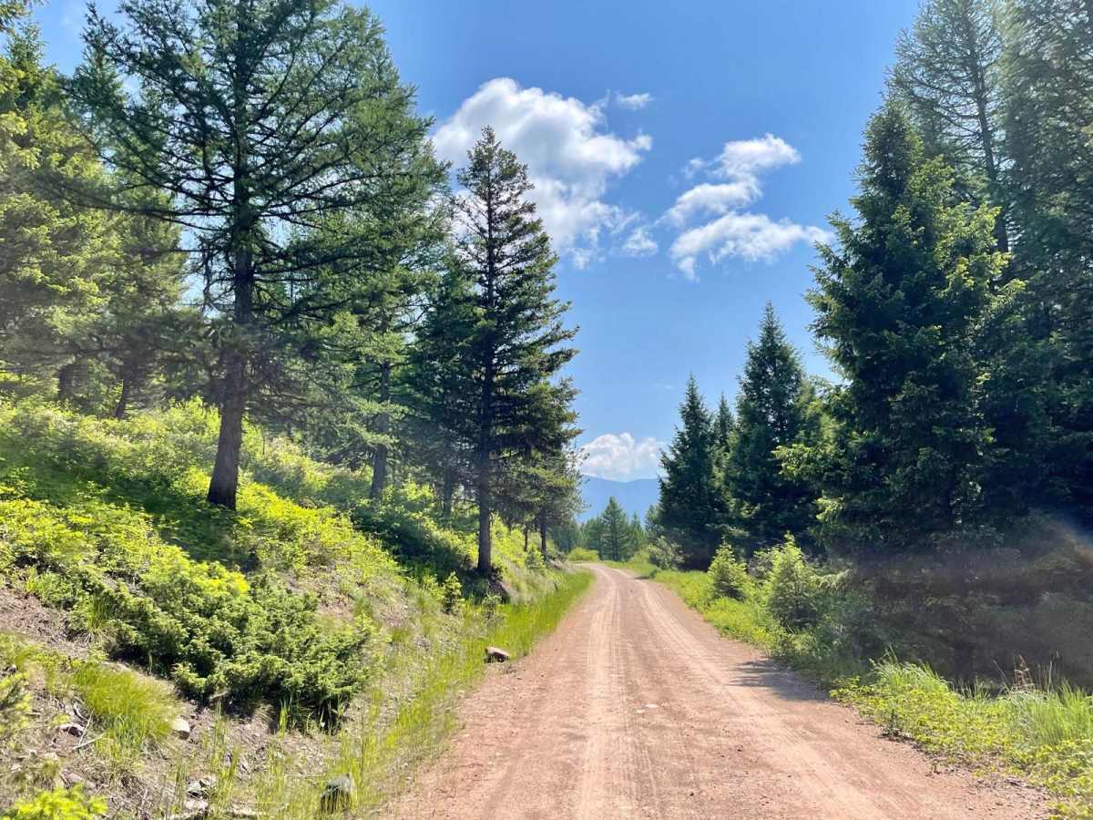 Auggie Cutoff Trail photo 6