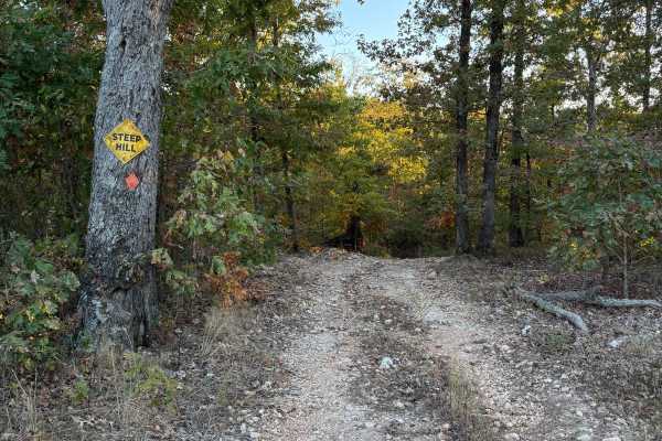 Yellow 40