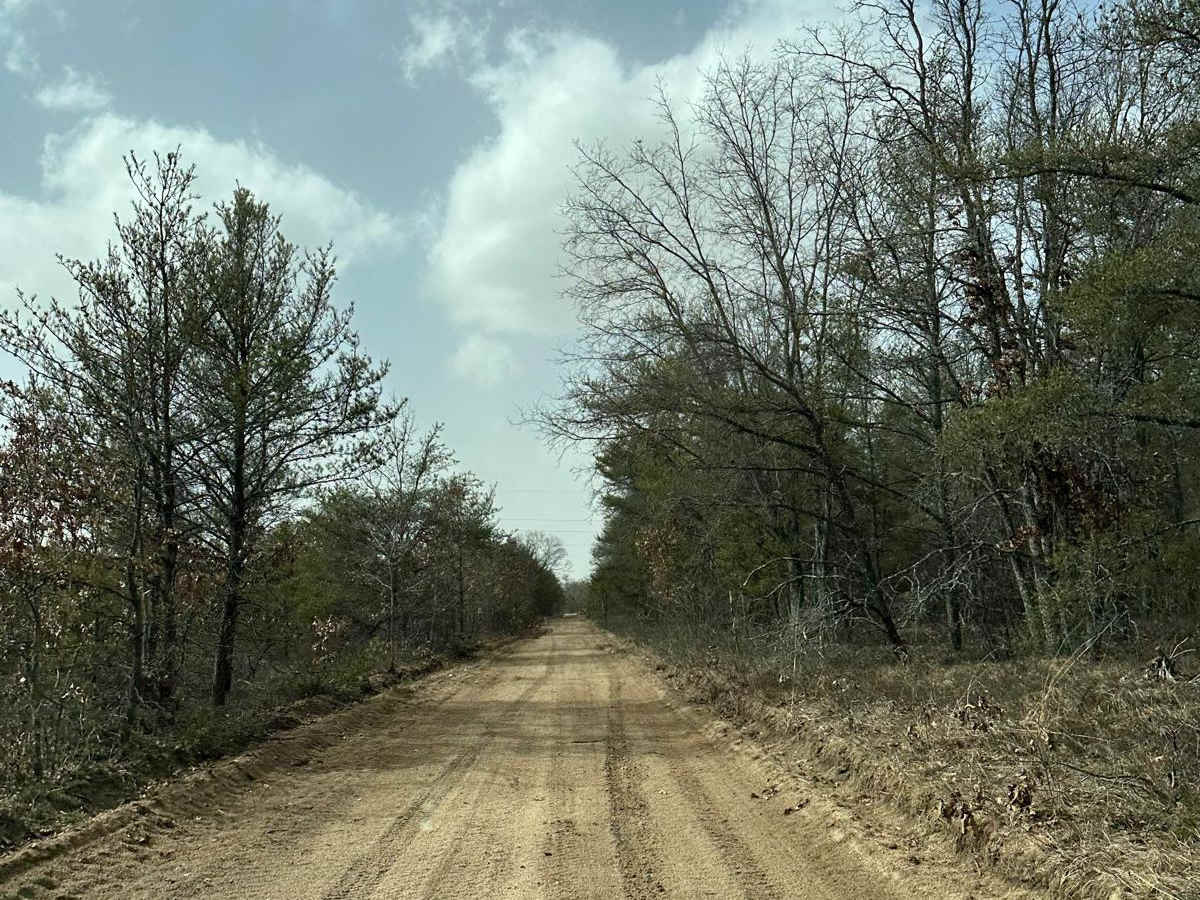 LP 492 photo 5
