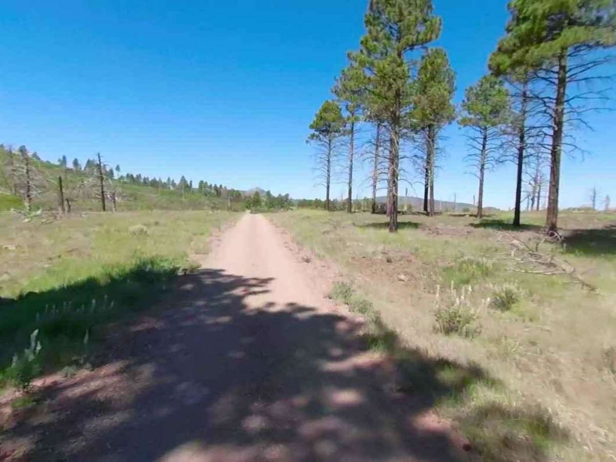 Black Rock Road East-BLM1004 photo 6
