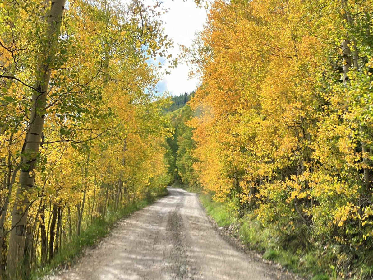 Fish Creek Approach trail photo