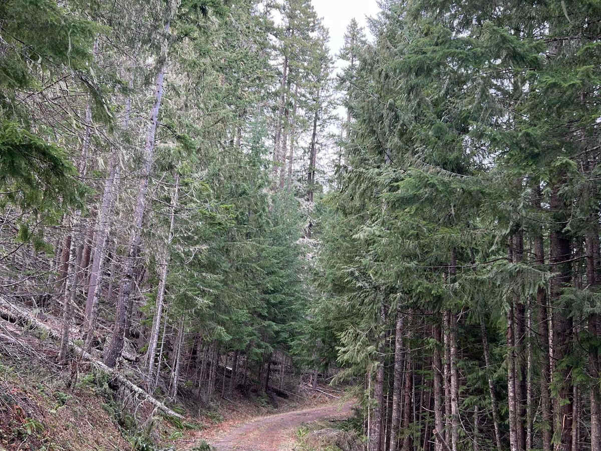 Deception Butte photo 3