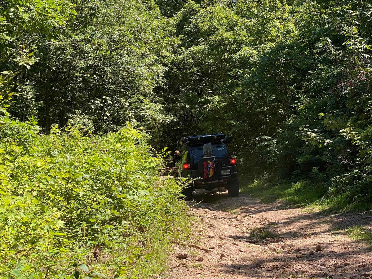 Lake Shore Loop trail photo