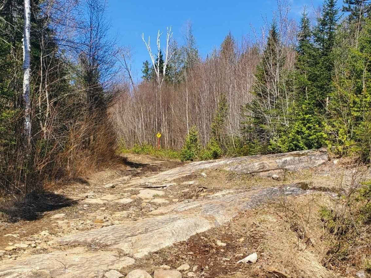Rusty Road photo 3