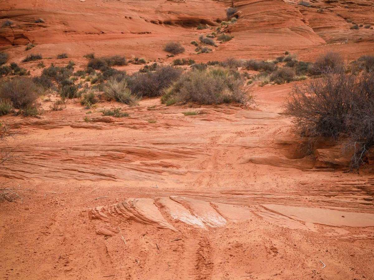 South Powerline trail photo