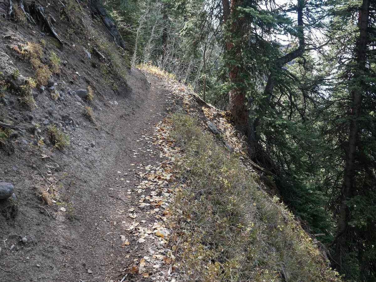 Nate Creek photo 2