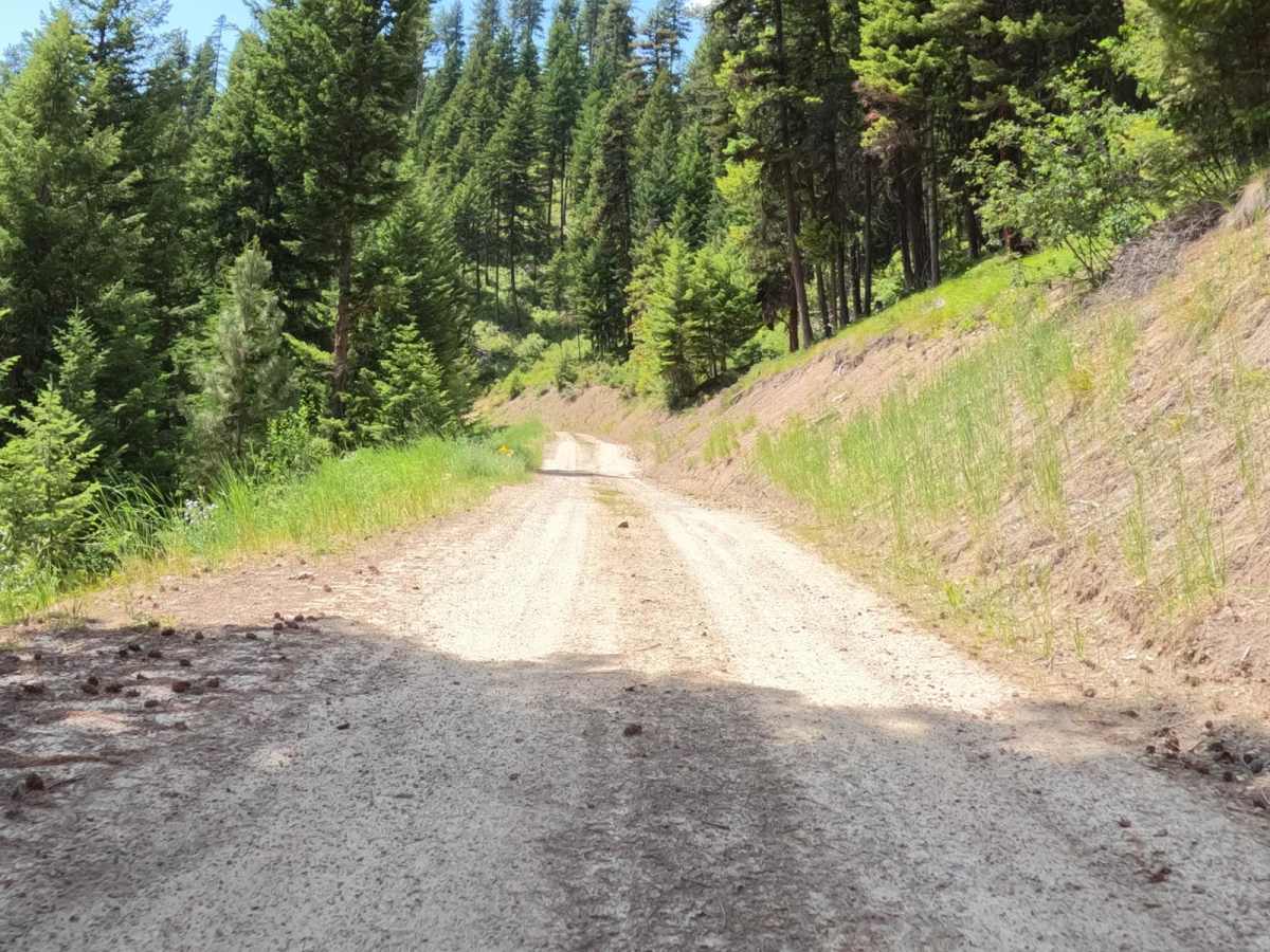 Flat Creek Road - Pardee Creek Road photo 4