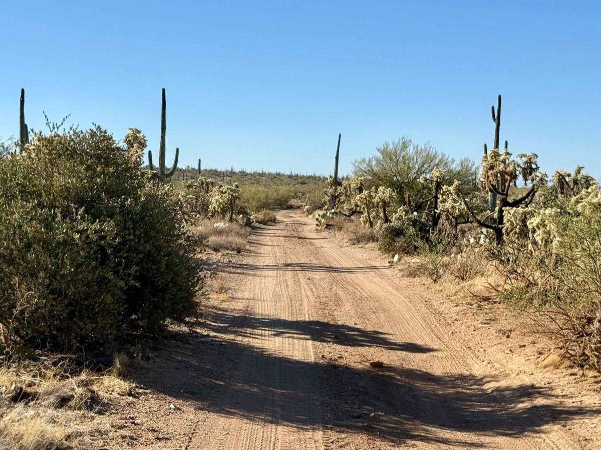 Crescent Trail photo 6