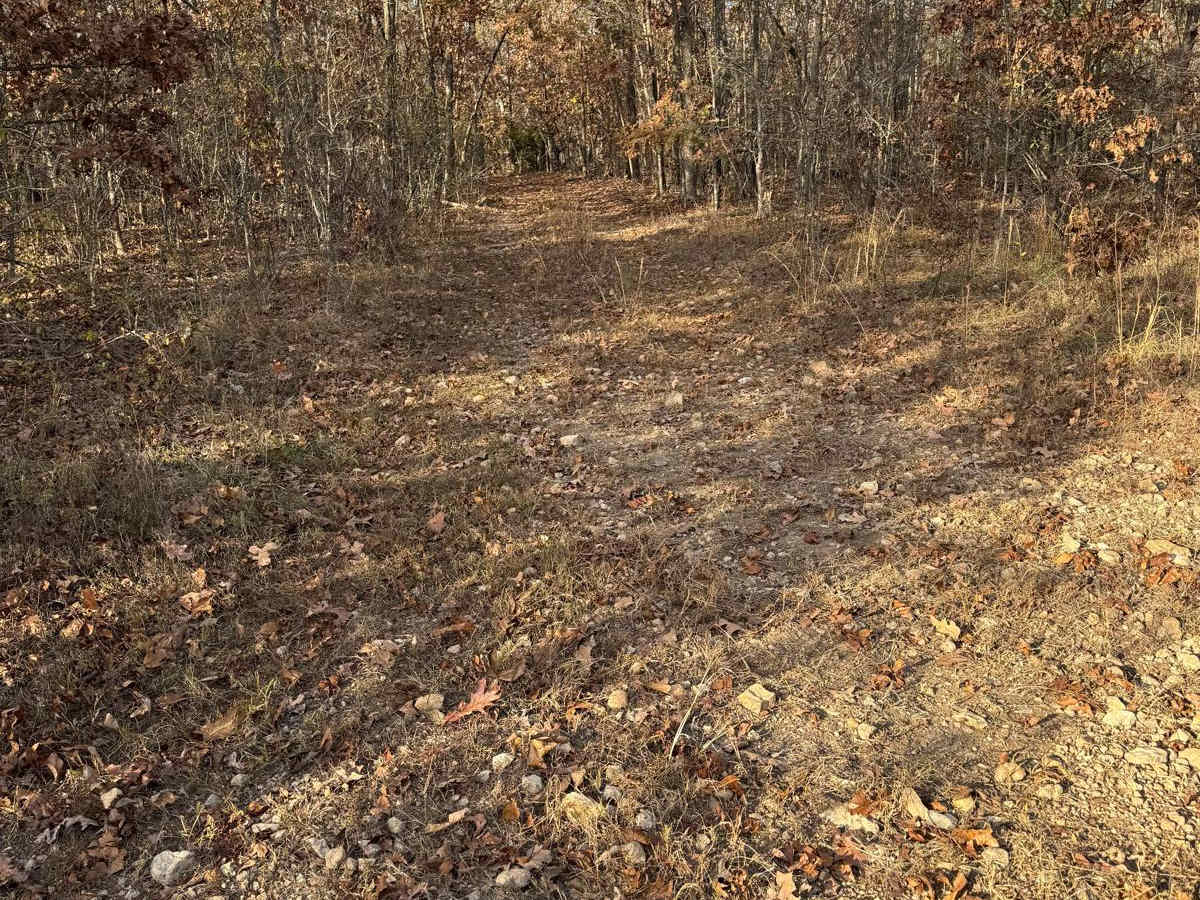 Yellow 178 trail photo