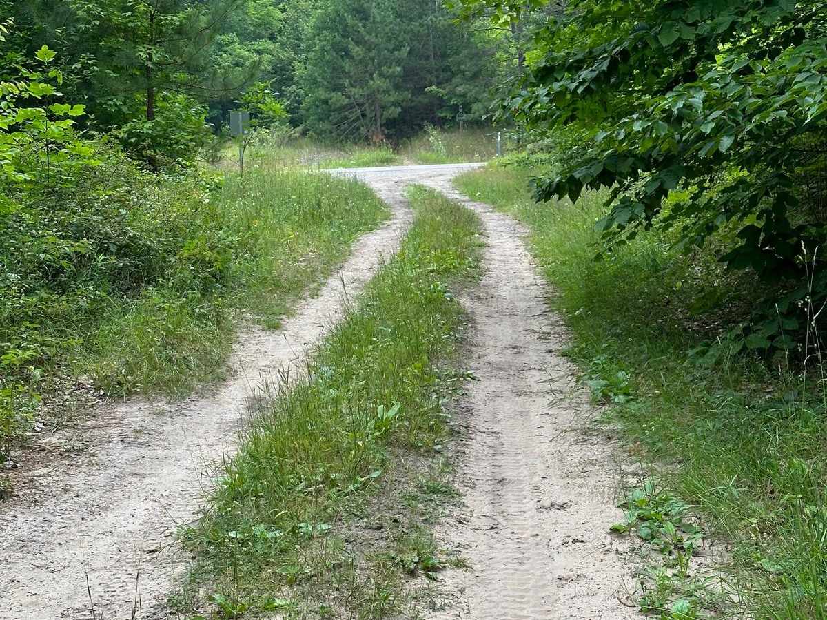 Spear Road/48062 trail photo