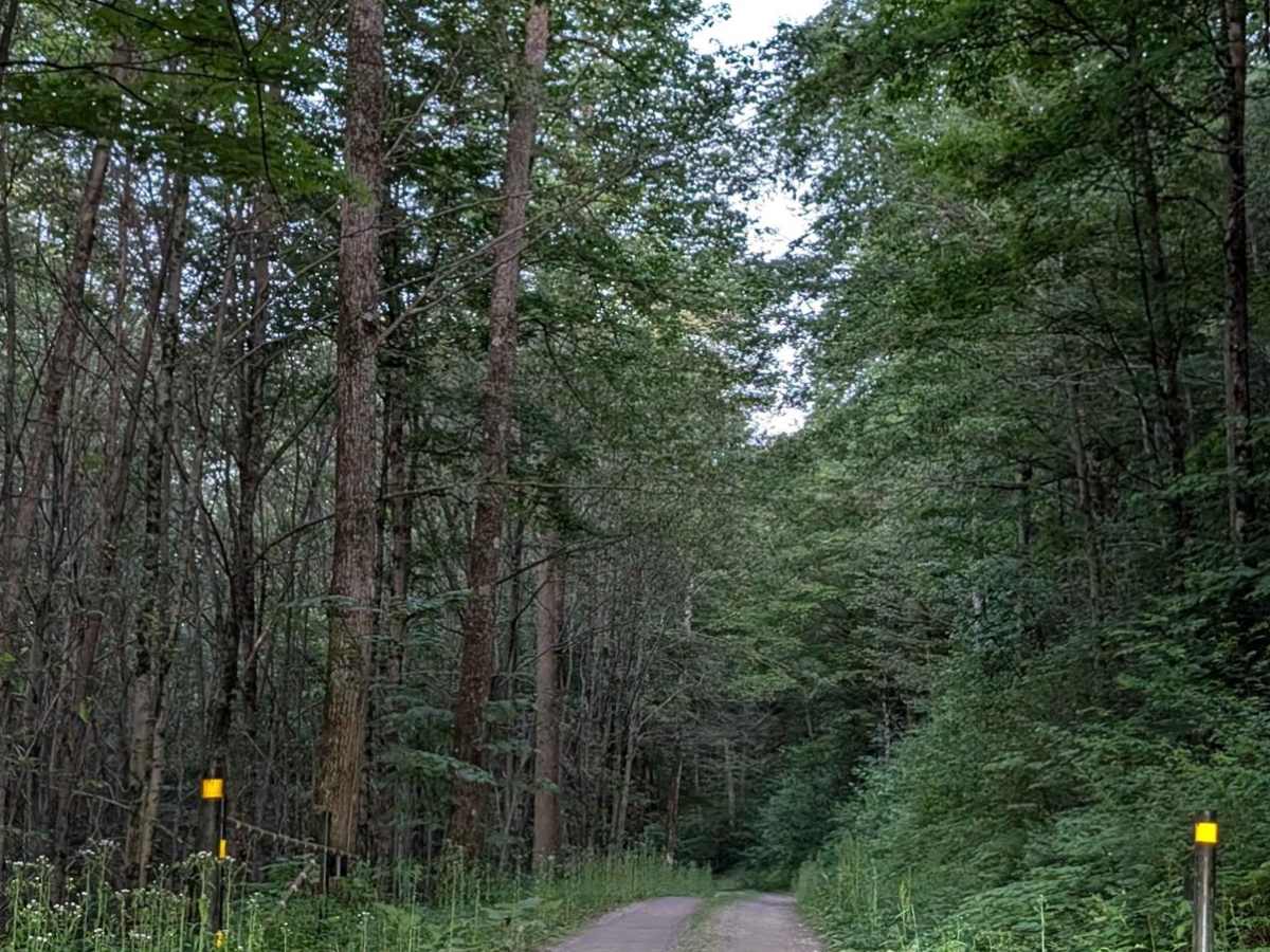 Bear Wallow Road photo 2