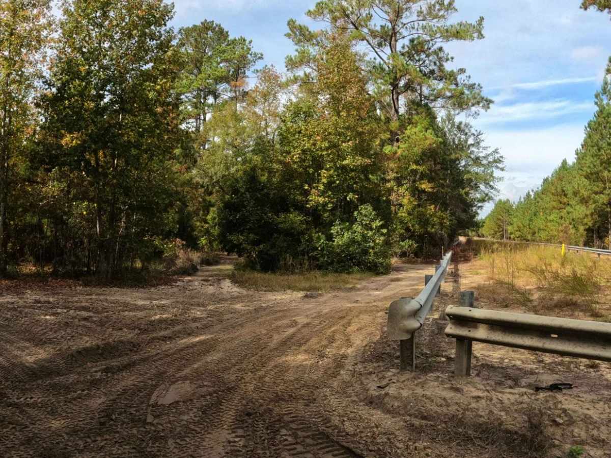 Sadie's Way trail photo