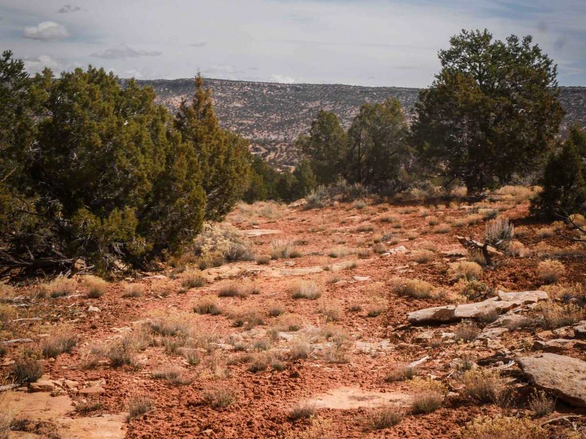 Cottonwood Creek photo 5