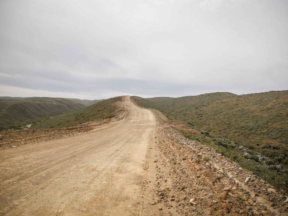 Punta Baja photo 5