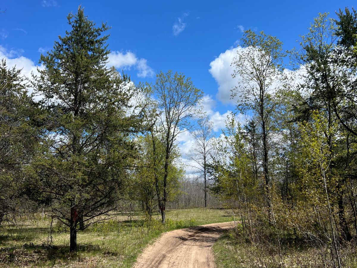 S 23-1/2 Connector Trail photo 5