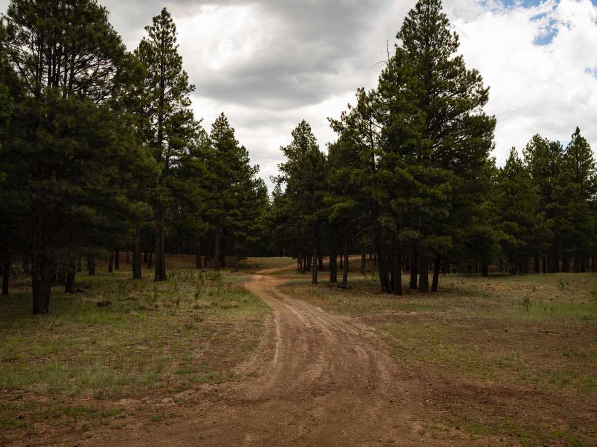 Elk Spring photo 2
