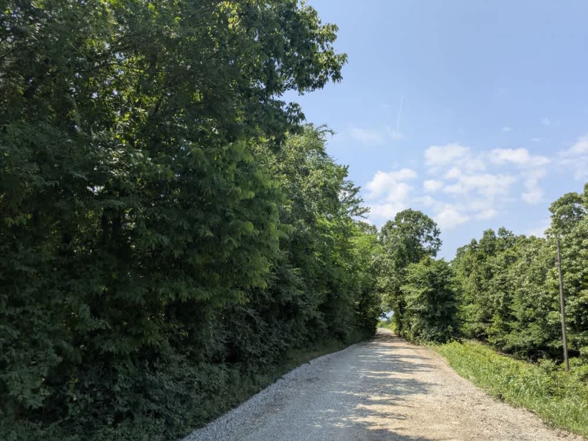 Memorial Drive trail photo