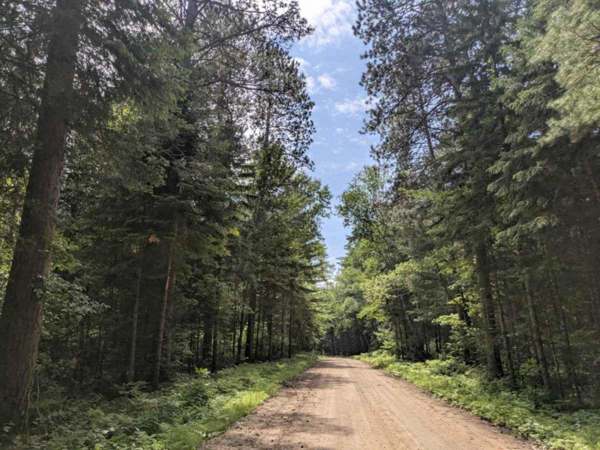 FS 2236 trail photo