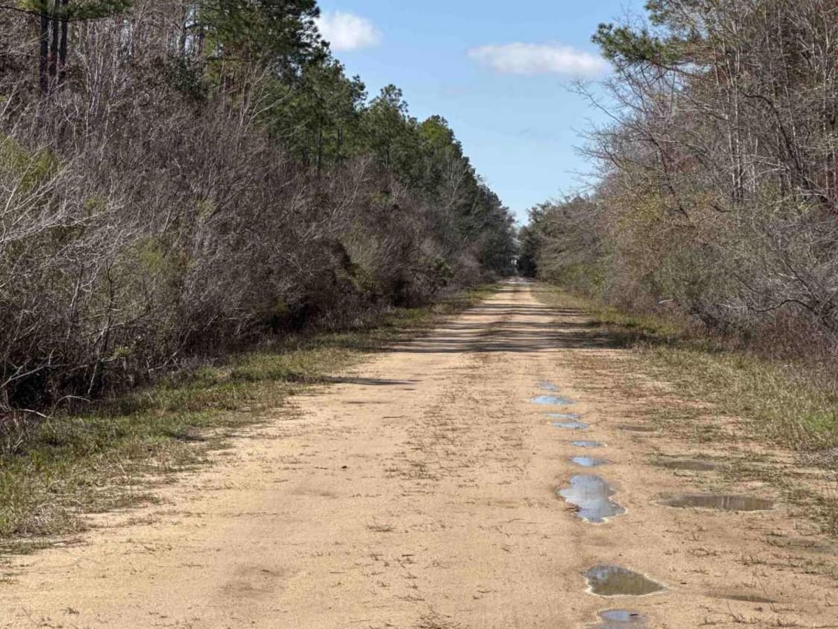 West Double Bridge Road photo 2
