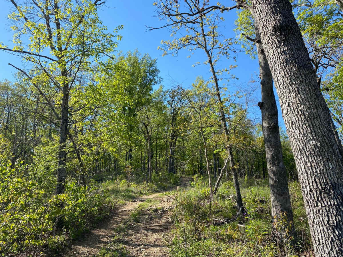 FSR606 Brushy Ridge photo 2