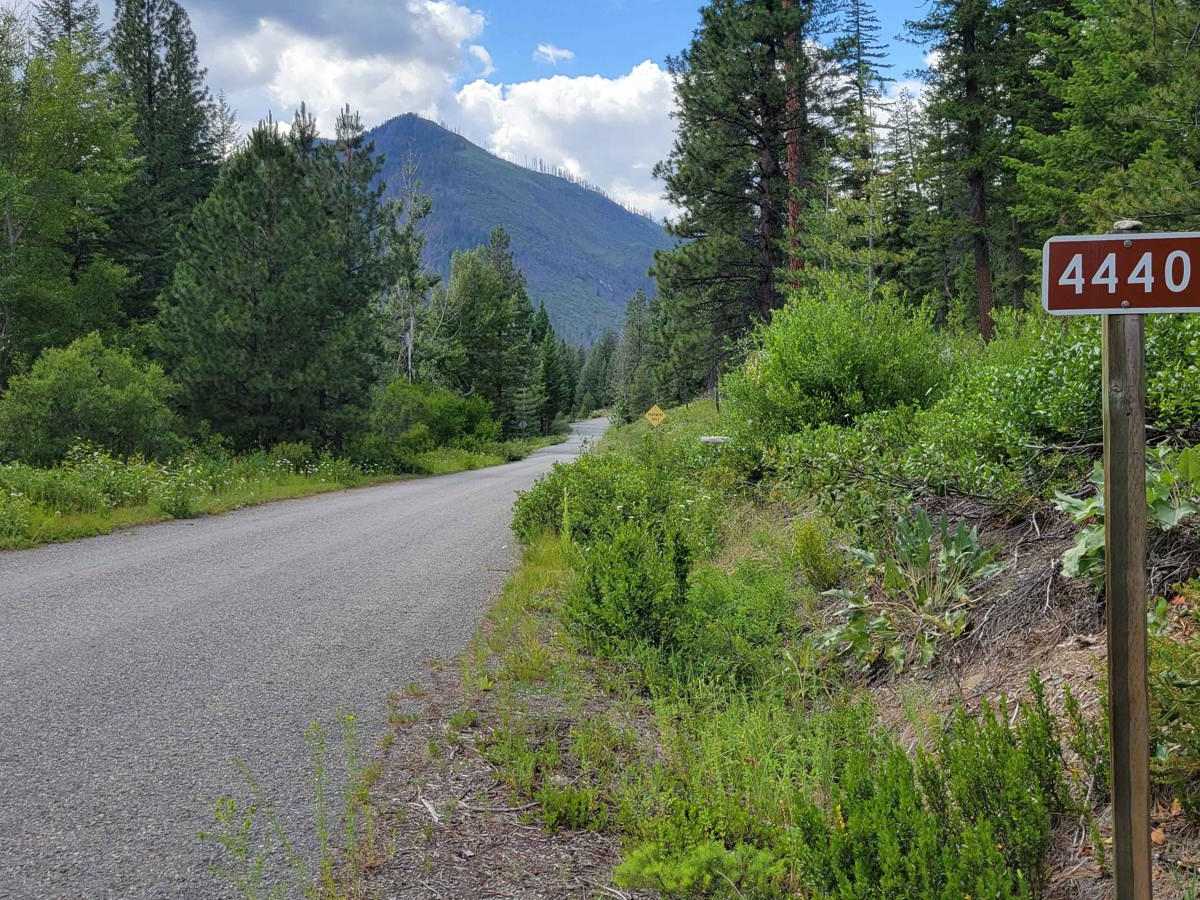 FR 4440 - Twisp River Road trail photo