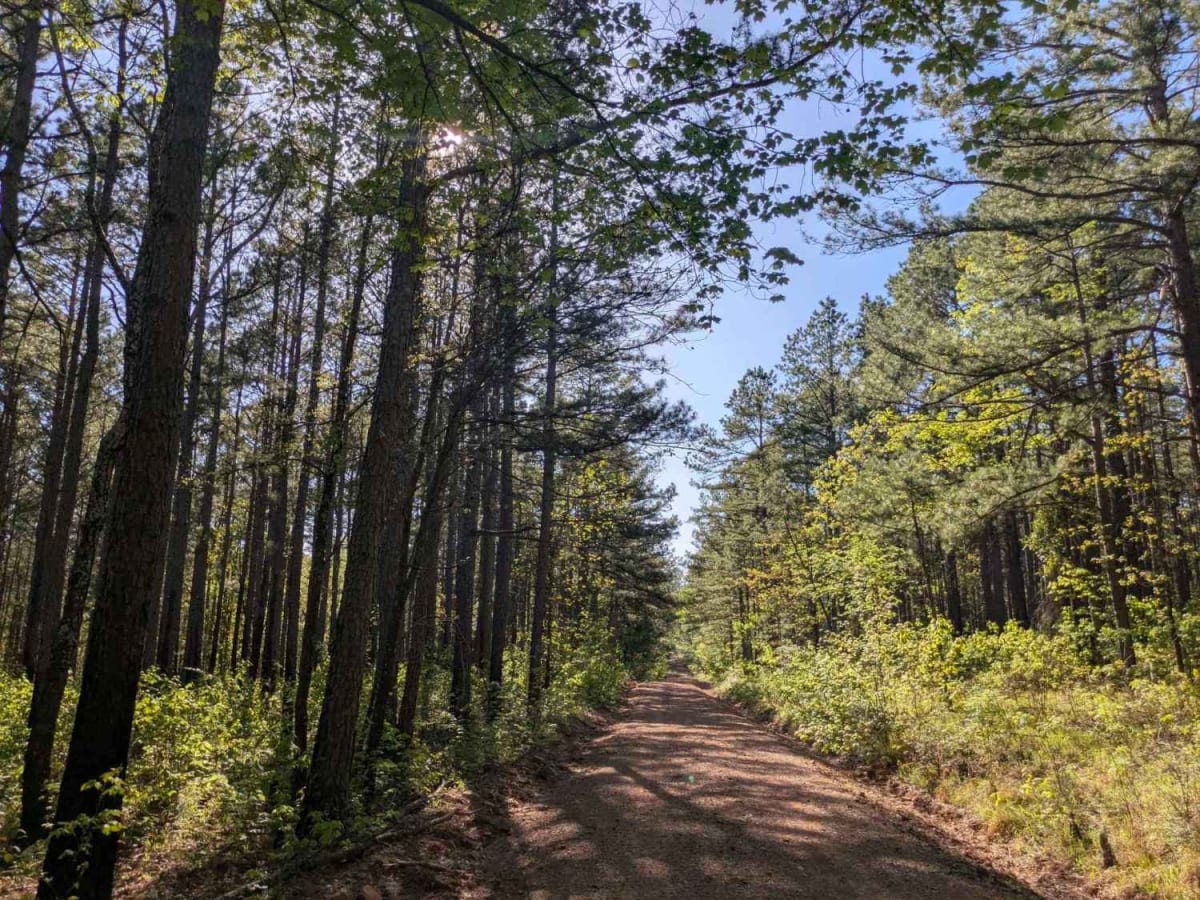 Henry Mountain Road photo 3