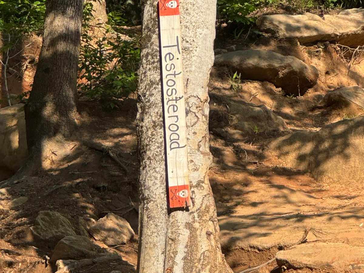 Testosteroad trail photo