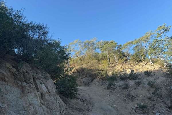 Camino de Lavado Empinado