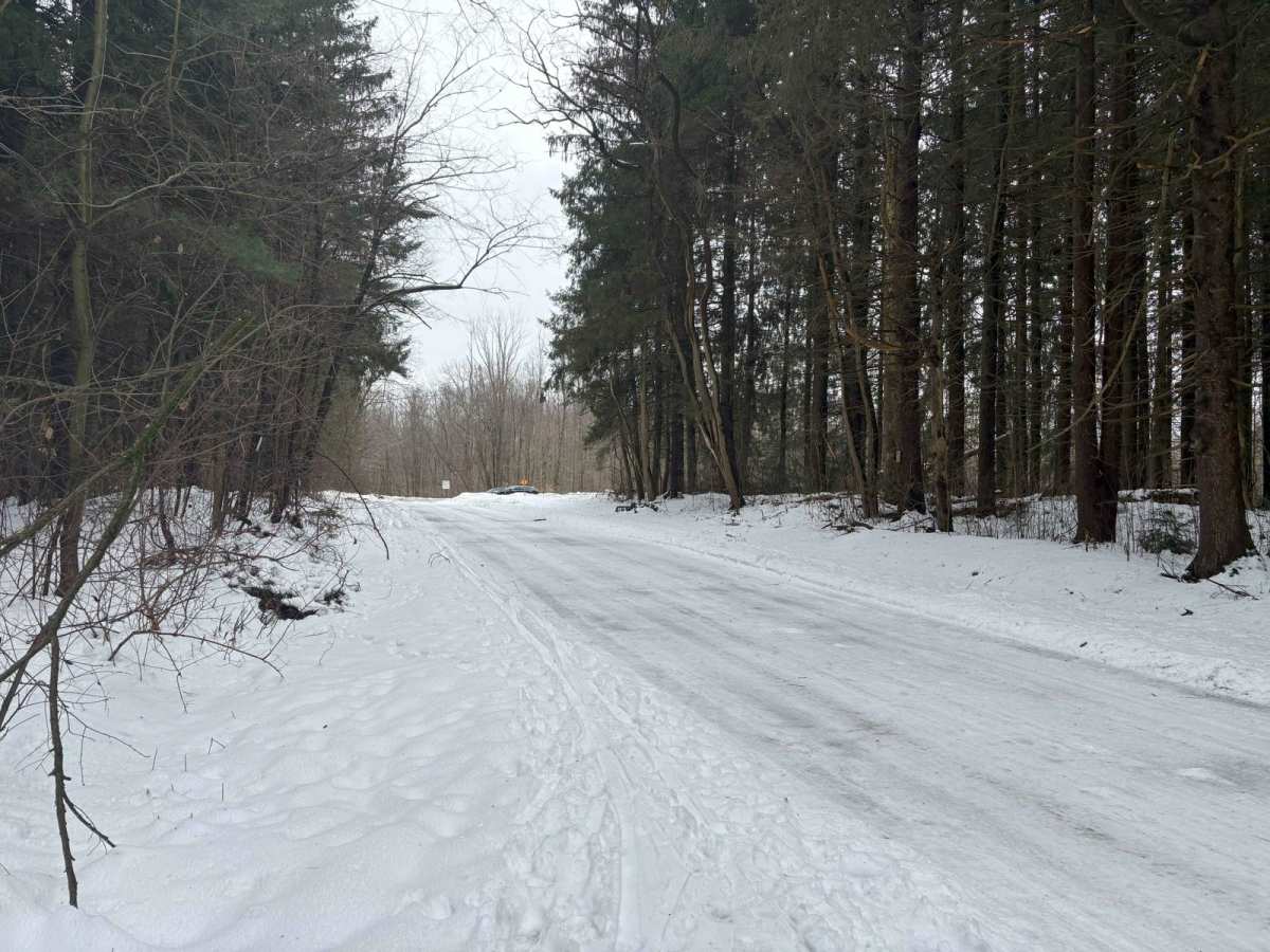 Bear Swamp photo 3